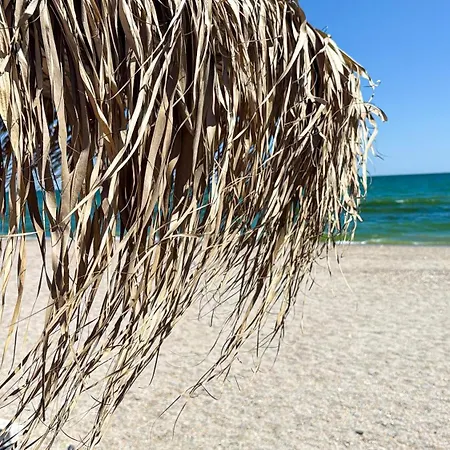 Casa Del Mar Mamaia- Seaside & Relax アパート ママイア