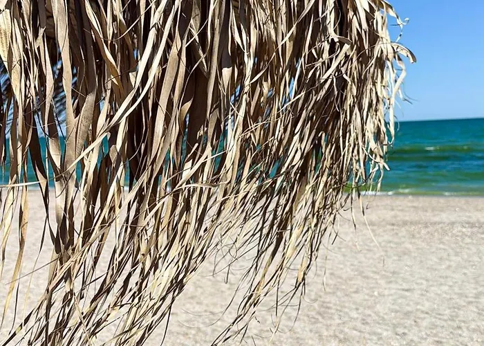 Casa Del Mar Mamaia- Seaside & Relax アパート ママイア